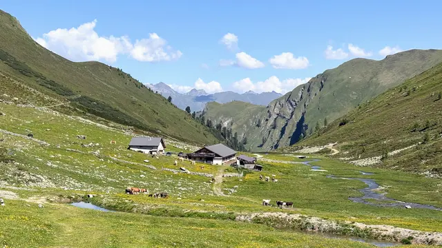 Die wunderschöne Platzer-Alm liegt auf mehr als 2.100 m Seehöhe in einem regelrechten alpinen Paradies. ©W. Kräutler