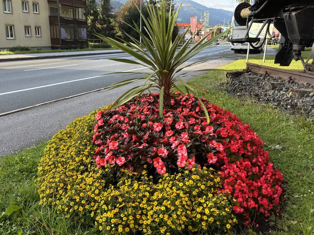 Bei der Nordeinfahrt von Bischofshofen werden die Autofahrer von den ersten Blumeninseln empfangen. | Foto: Christian Amtmann
