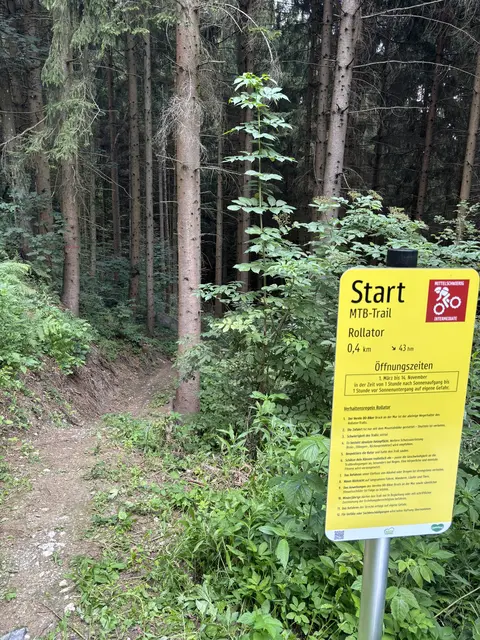 So sieht der Einstieg in den neuen Trail aus. | Foto: MeinBezirk/Angelika Kern
