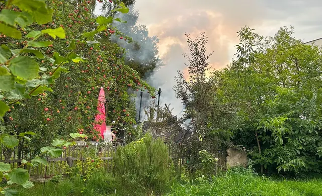 Dichter Rauch und meterhohe Flammen prägten das Einsatzbild.
 | Foto: DOKU-NÖ