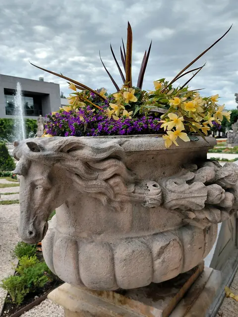 Foto: H.Bachinger