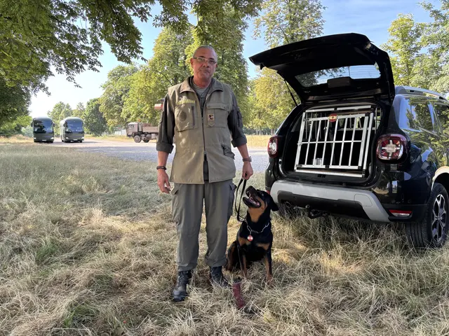 Besonders die Vorführung der  Militärhundestaffel begeisterte die Zuseherinnen und Zuseher. | Foto: MeinBezirk