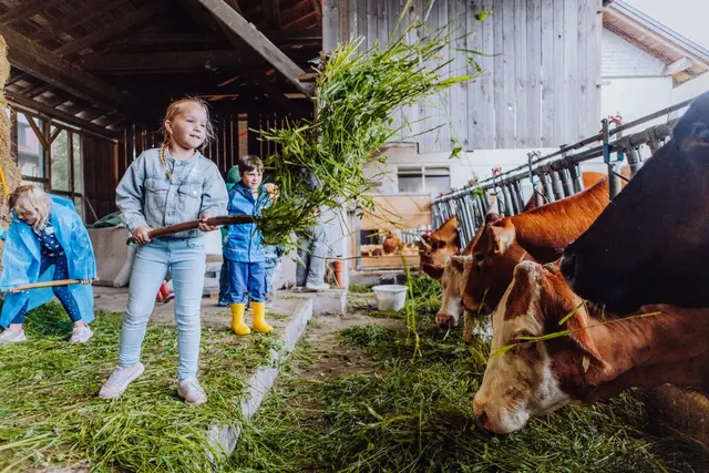 Kinder entdecken bei der Erlebnistour das Leben auf dem Biohof. | Foto: Bio Austria OÖ