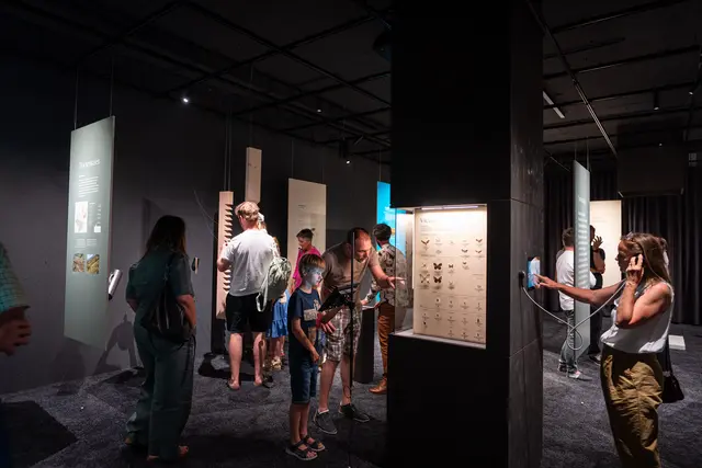 Die Vielfalt der Natur- und Kulturlandschaft steht im Naturpark Kaunergrat im Mittelpunkt. Die neue Dauerausstellung im Naturparkhaus vermittelt spannende Einblicke in die Lebensräume, Traditionen und Besonderheiten der Region. | Foto: Archiv Naturpark Kaunergrat