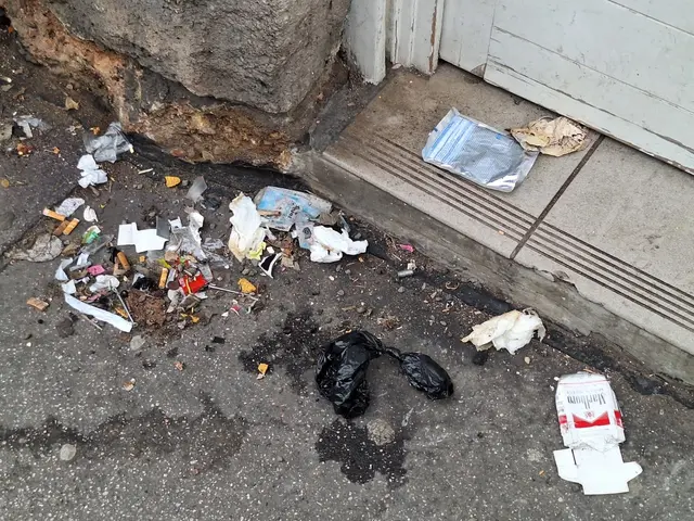 Zigarettenstummel, Gackerlsackerl, Papiertüchter und eine Menge an inzwischen Unbestimmbaren. | Foto: zVg