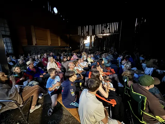 Über 100 Mürztalerinnen und Mürztaler ließen sich das MeinBezirk-Sommerkino in Langenwang nicht entgehen.