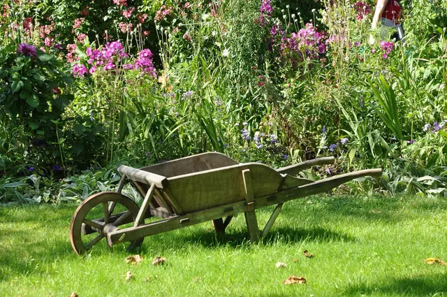 Wenn man seinen Garten leicht verändert, kann man Tierarten helfen, die vom Aussterben bedroht sind. | Foto: pixabay