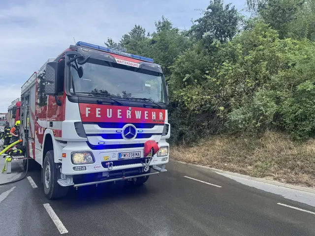Foto: Feuerwehr Mattersburg