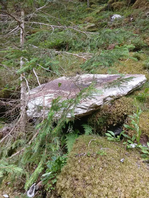 Eine Wandergruppe des Alpenvereins wurde bei einer Wanderung von einem herabstürzenden Felsblock überrascht. | Foto: Bergrettung Hüttschlag