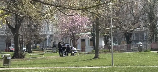 Die Schutzzone im Volksgarten wurde am Freitag um weitere sechs Monate verlängert.  | Foto: MeinBezirk/Markus Kropac