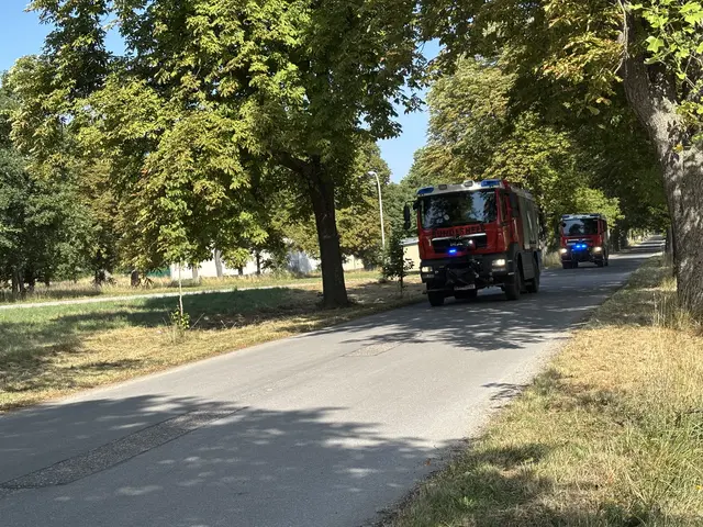 Foto: MeinBezirk