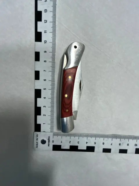 Mit diesem Messer soll ein 18-Jähriger einen 20-jährigen Mann am Morzinplatz attackiert haben.  | Foto: LPD Wien
