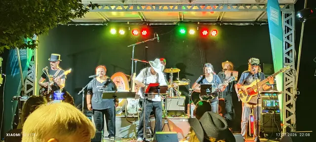 6. Country-Night in Mauthausen | Foto: TVM