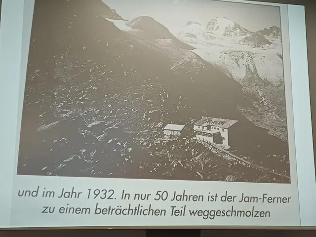 Foto: Monika Hammerl