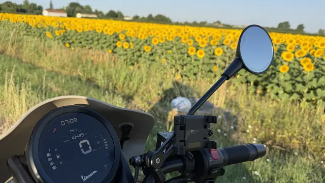 Die Schönheit der Landschaft ließ die Herzen am ersten Sonnenblumenfeld höher schlagen.  | Foto: AVG Filmproduktion
