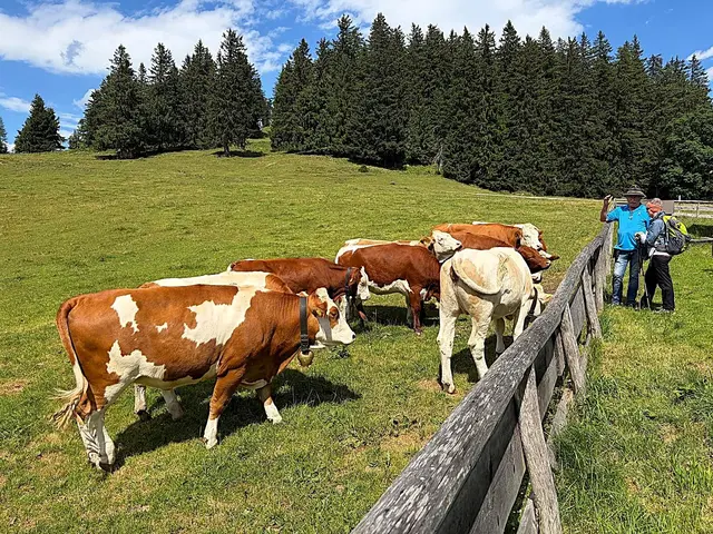 Foto: Naturfreunde Traisen