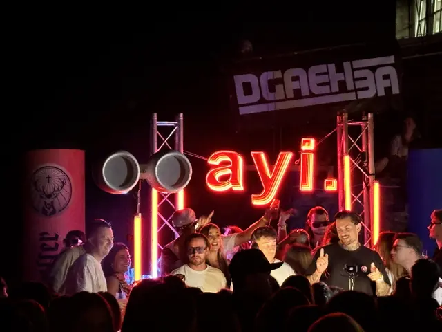 Djs stehen am Pult und davor steht das Publikum