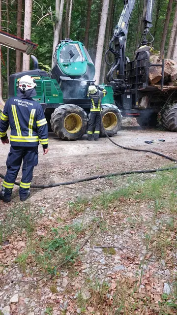 Foto: Freiwillige Feuerwehr Sandl