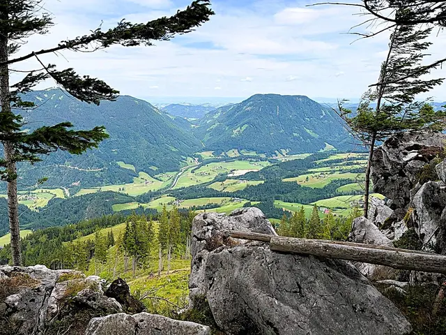 Foto: Naturfreunde Traisen
