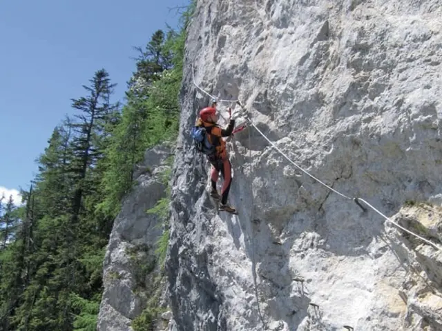 Der etwa 400 m lange Panorama-Klettersteig befindet sich an der Südseite der Bürgeralm in Alfenz. | Foto: Jutta Petermeier