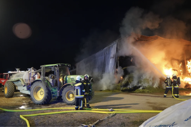 Foto: BFKDO Mistelbach