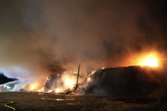 Foto: BFKDO Mistelbach