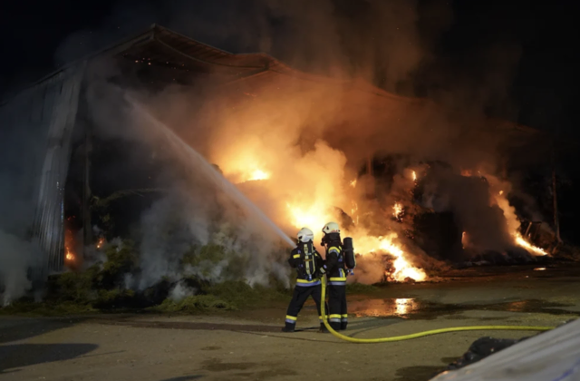 Foto: BFKDO Mistelbach
