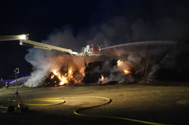 Foto: BFKDO Mistelbach