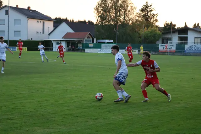 Foto: Jana Gollacz