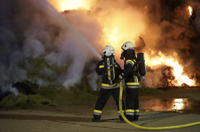 Foto: BFKDO Mistelbach