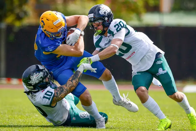 Im Grunddurchgang gab es im direkten Duell jeweils einen Sieg für die Graz Giants und die Danube Dragons. 
 | Foto: GEPA Pictures
