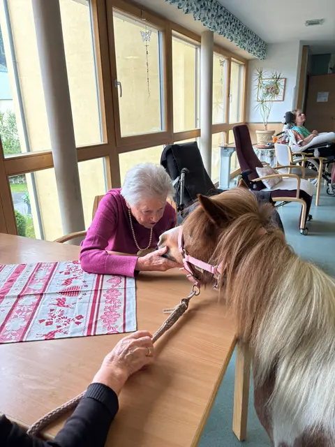 Pony Jackie besuchte kürzlich die Bewohnerinnen und Bewohner des Seniorenheim Haus Sebastian in Axams.  | Foto: Haus Sebastian