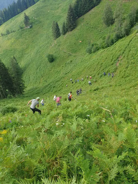 Am Samstag engagierten sich 20 freiwillige Helferinnen und Helfer bei einer groß angelegten Pflegeaktion auf der Kletschachalm, um das wertvolle Kulturgut und die Artenvielfalt zu erhalten. | Foto: Brettenhütter