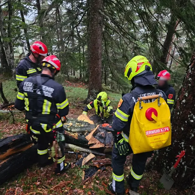 Foto: Freiwillige Feuerwehr Tigring