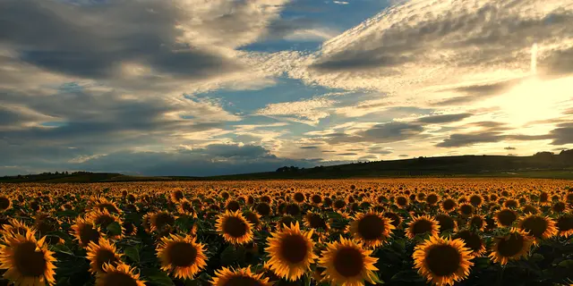 MeinBezirk gibt einen Ausblick auf das Wetter im Burgenland.  | Foto: Hermann Sauer