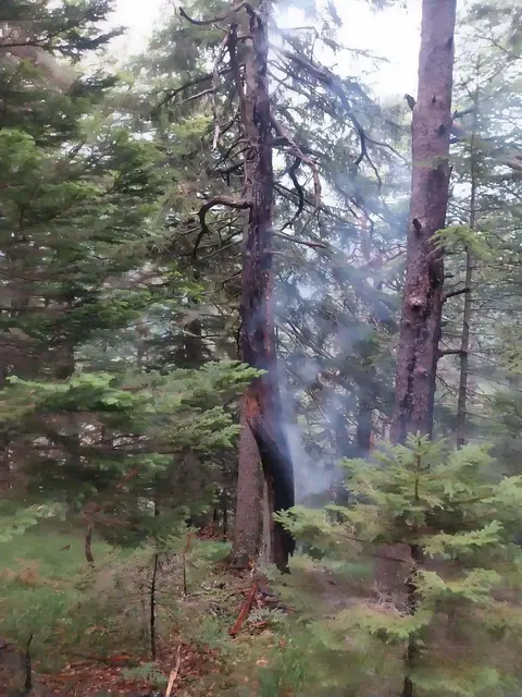 Foto: Feuerwehr St.Jakob im Rosental