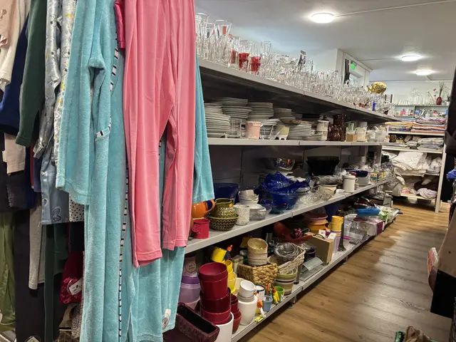 Neben Geschirr und Kleidung gibt es im Secondhand-Laden auch Lebensmittel und Bücher.  | Foto: Karin Bayr