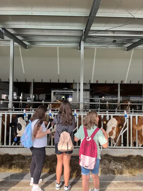 Die Jugendlichen entdeckten die Abläufe hinter den Produkten vom Bauernhof. | Foto: BBK Gmunden Vöcklabruck
