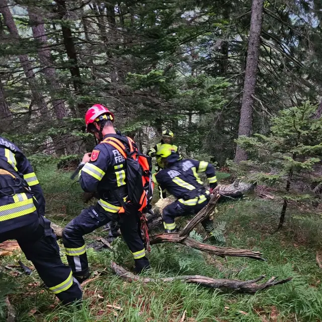 Foto: Freiwillige Feuerwehr Tigring