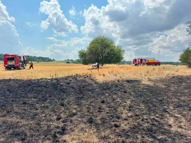 Die zuerst eingetroffenen Einsatzkräfte reagierten sofort und leiteten einen umfassenden Löschangriff ein. | Foto: Feuerwehr