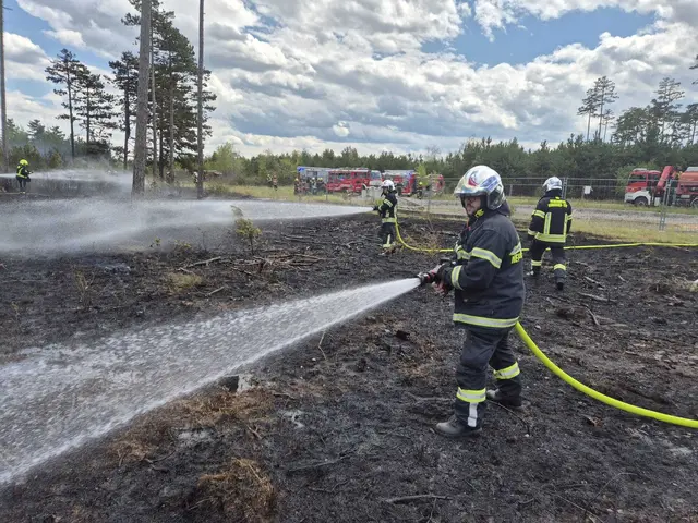 Löscheinsatz im Föhrenwald. | Foto: www.einsatzdoku.at