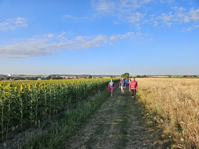 Die Wanderung führte über die Winterzeile hinauf zum Teich, über den Damm und durch den idyllischen Hohlweg in Richtung Sender. Schritt für Schritt eröffnete sich eine beeindruckende Naturkulisse. | Foto: Gemeinde Langau