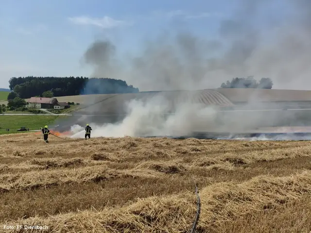 Auch trockene Felder brannten in den vergangenen Tagen – wie hier in Diersbach. | Foto: FF Diersbach