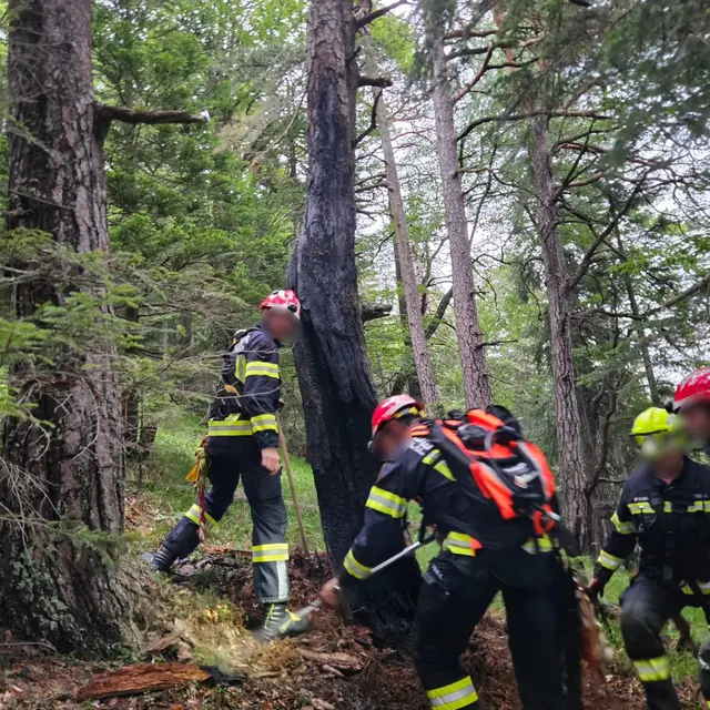 Foto: Freiwillige Feuerwehr Tigring