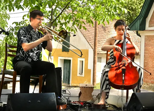 Das Duo „Sinfonia de Carnaval“ begeisterte mit einer außergewöhnlichen Open-Air-Matinee in der Nusswaldkellergasse in Platt. | Foto: Herbert Schleich