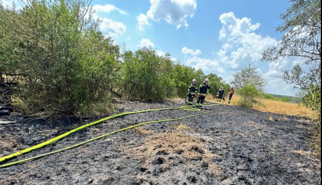 Aus bislang ungeklärter Ursache war auf einer rund 1.600 Quadratmeter großen Fläche neben der Straße ein Feuer ausgebrochen. | Foto: Feuerwehr