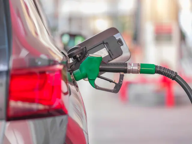 Der NÖ Energiehandel warnt vor steigenden Treibstoffpreisen durch den geplanten Entwurf zur EEG-V.
 | Foto: Pexels (Symbolbild)