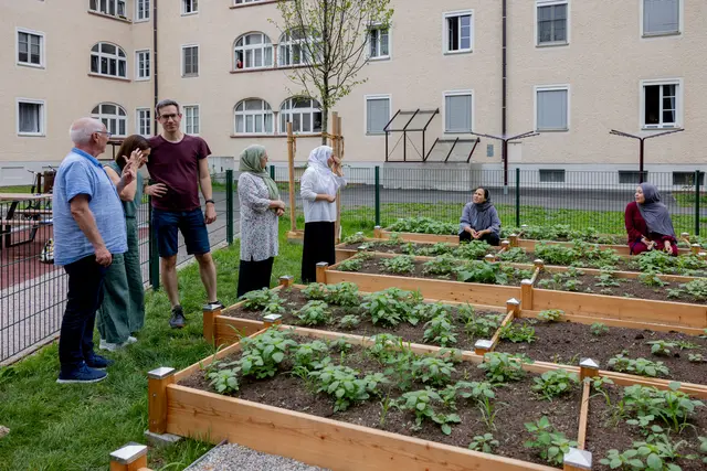 Neue Gemeinschaftsbeete für den Lehener Vierkant: 
Bewohnerinnen und Bewohner sowie Projektbeteiligte bei den neuen Gemeinschaftsbeeten im umgestalteten Innenhof des Lehener Vierkants.  | Foto: Stadt Salzburg/Wildbild