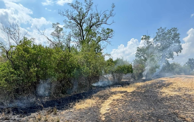 Die zuerst eingetroffenen Einsatzkräfte reagierten sofort und leiteten einen umfassenden Löschangriff ein. | Foto: Feuerwehr
