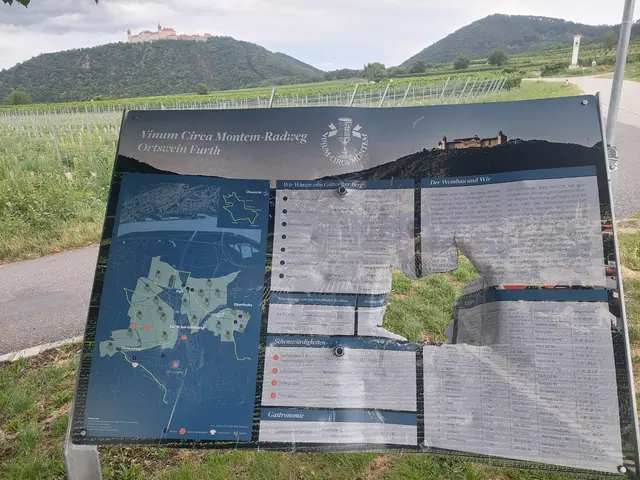 Am Ende des Zellergraben in Furth mit Blick auf Göttweig wurde eine Infotafel und ein Mistkübel demoliert. | Foto: Brigitte Wiesinger